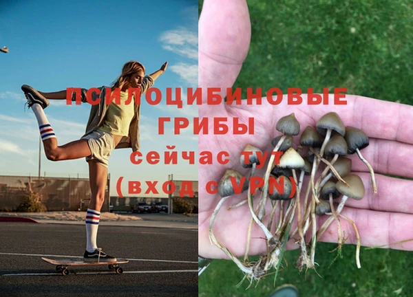 кокс Новодвинск