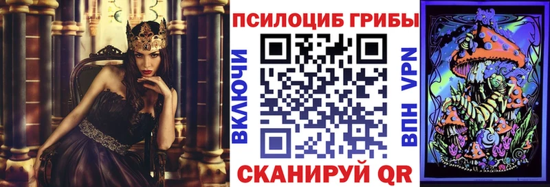 mega ссылка Сертолово Галлюциногенные грибы мухоморы что такое наркотик